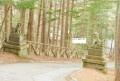 4/25 10:30三笠成田山神社入口の狛犬